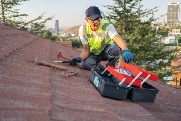 Shed Removal in Summerlin South, NV